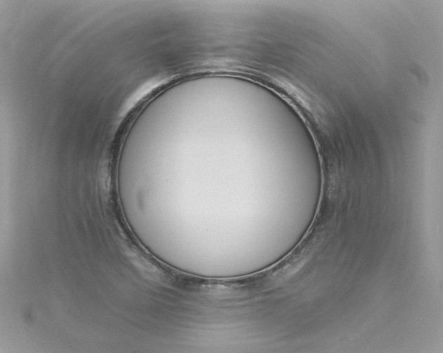 X0000115561458200911201812