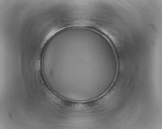 X0000115561459200911201812