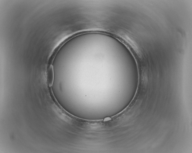 X0000115561460200911201812