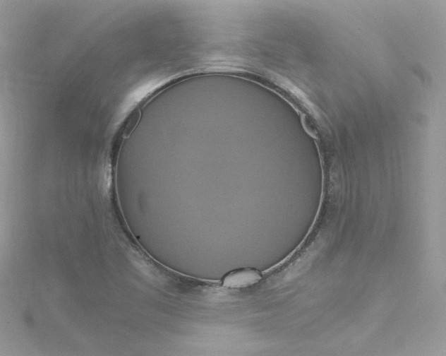 X0000115561461200911201812