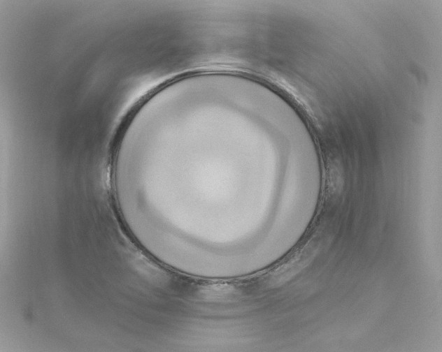 X0000115561462200911201812