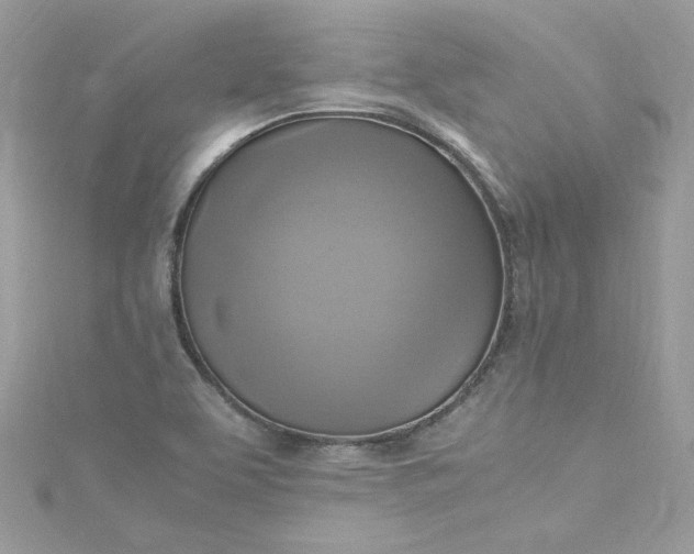 X0000115561463200911201812