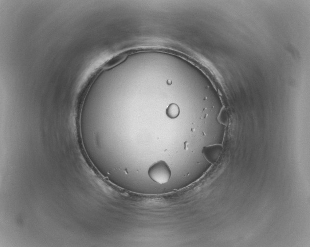 X0000115561464200911201812