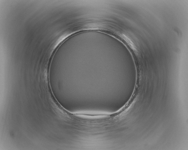 X0000115561465200911201812