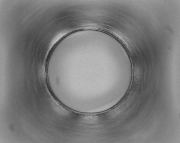 X0000115561466200911201812