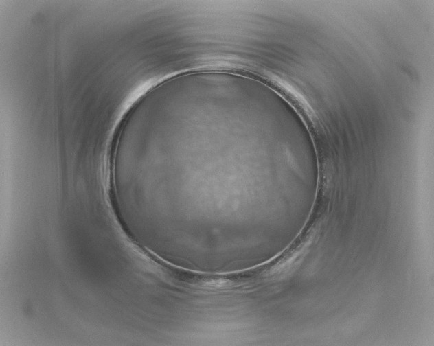 X0000115561467200911201812