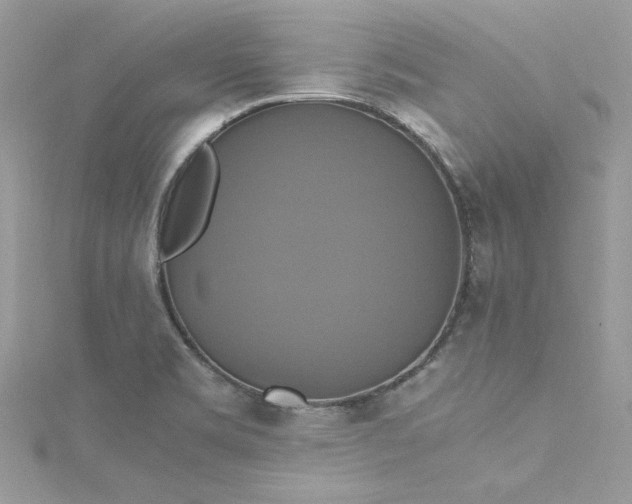 X0000115561469200911201812