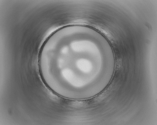 X0000115561470200911201812