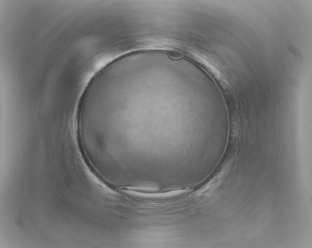 X0000115561471200911201812