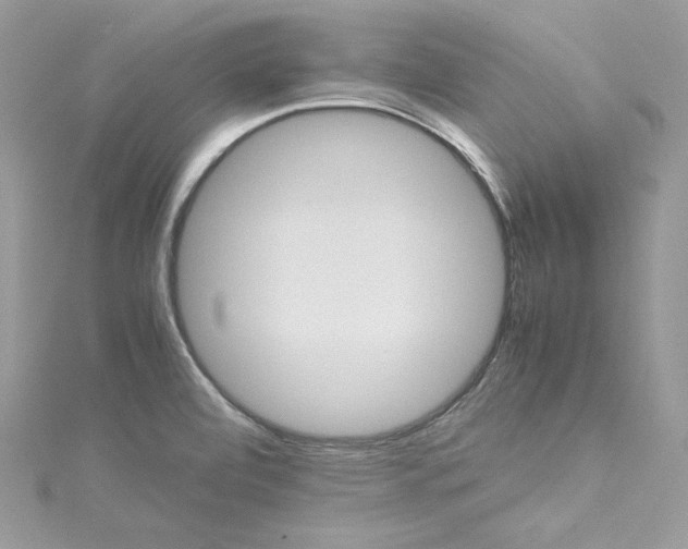 X0000115561472200911201812