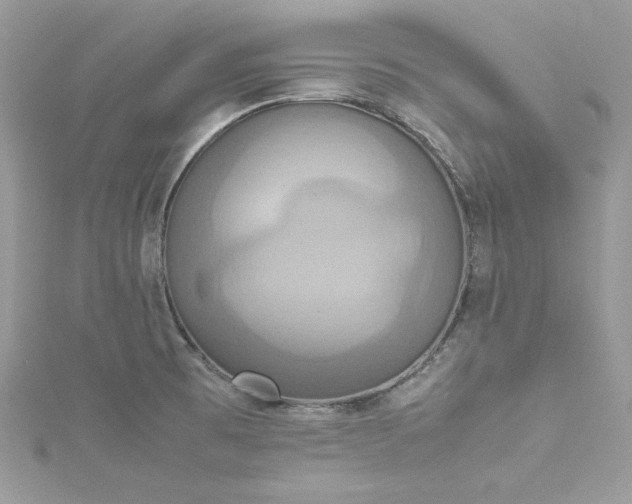 X0000115561473200911201812