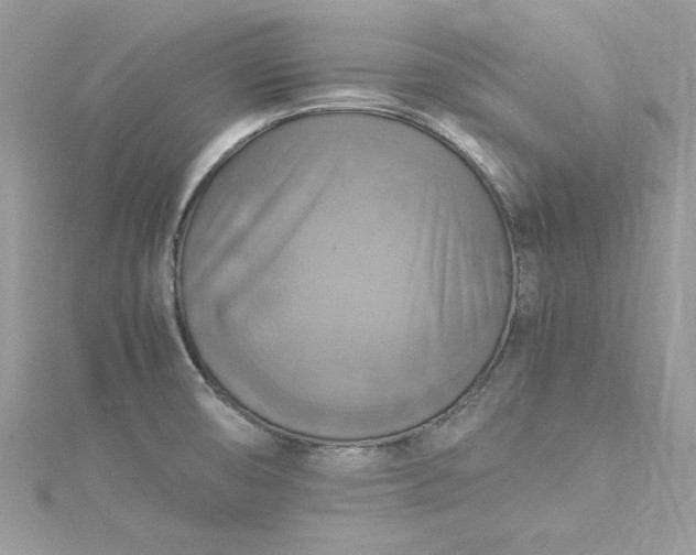 X0000115561474200911201812