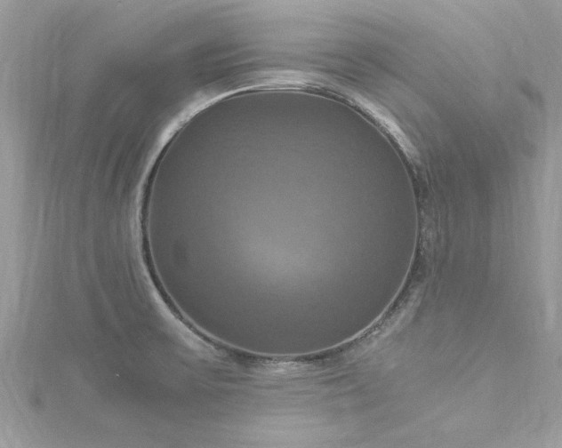 X0000115561475200911201812