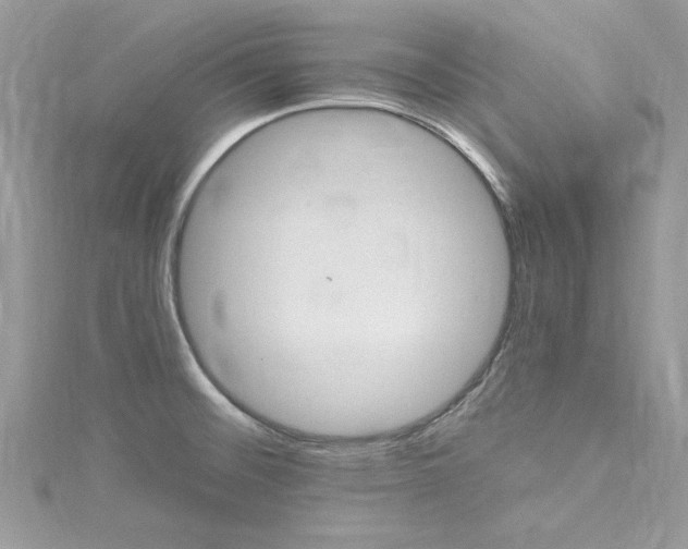 X0000115561476200911201812