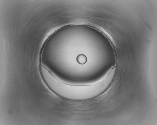 X0000115561477200911201812