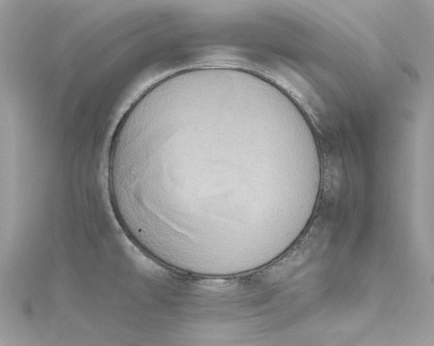 X0000115561478200911201812