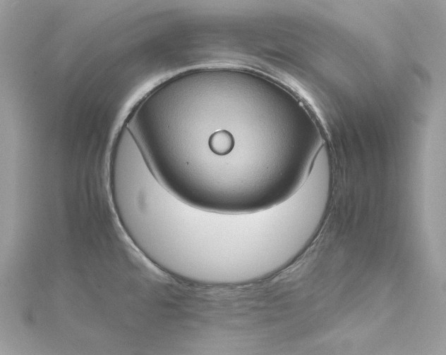 X0000115561480200911201812