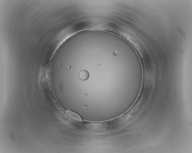 X0000115561481200911201812