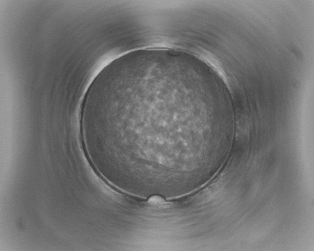 X0000115561483200911201812