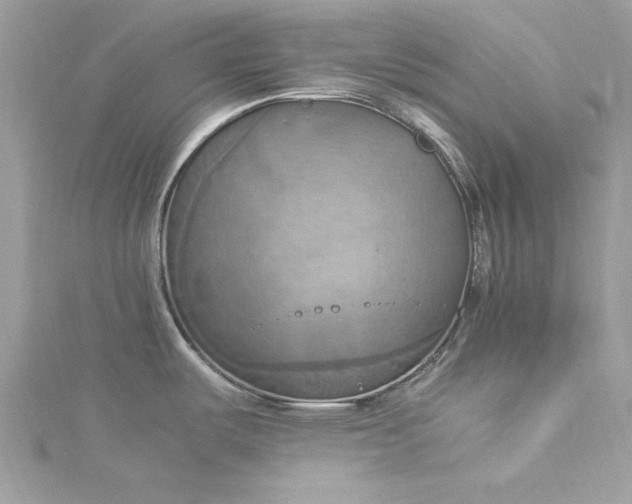 X0000115561487200911201812