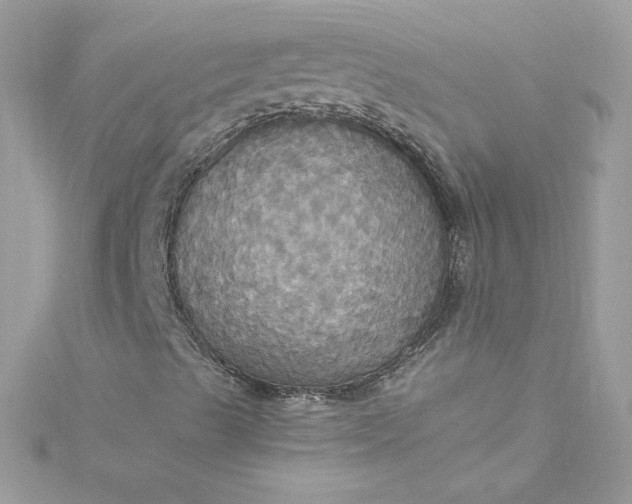 X0000115561489200911201811