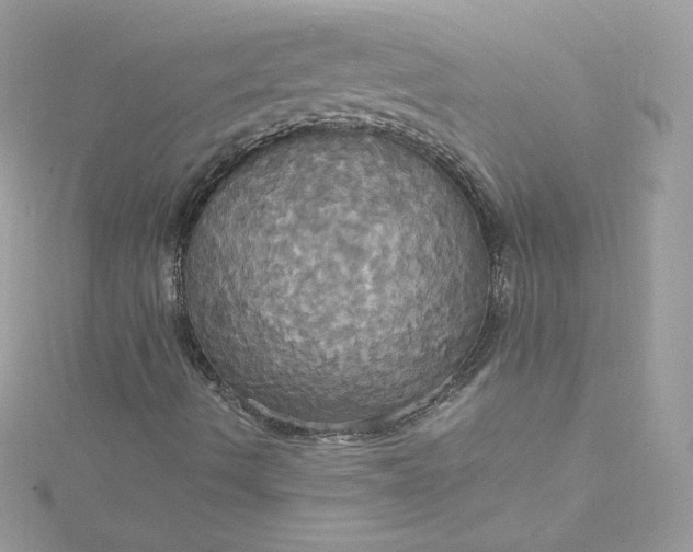 X0000115561490200911201811