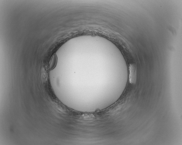 X0000115561491200911201811