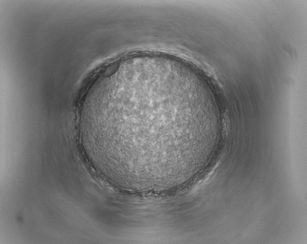 X0000115561494200911201811