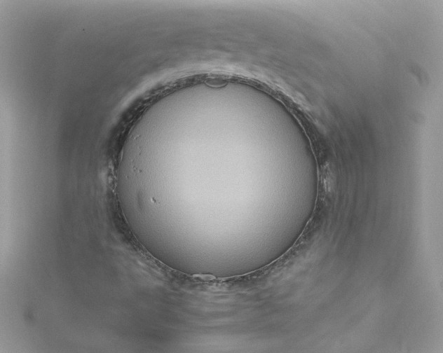 X0000115561495200911201811