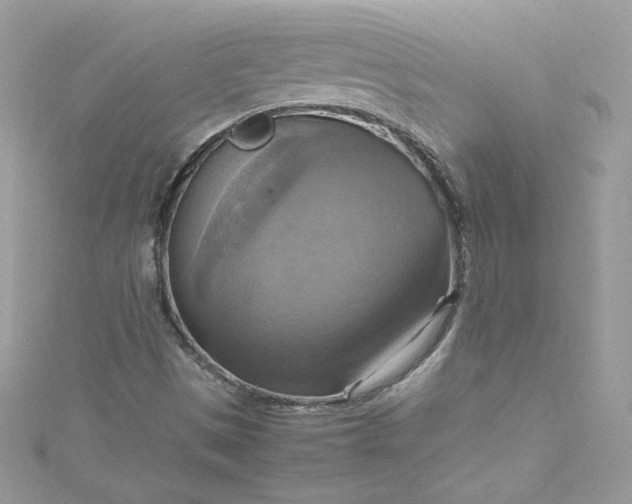 X0000115561497200911201811