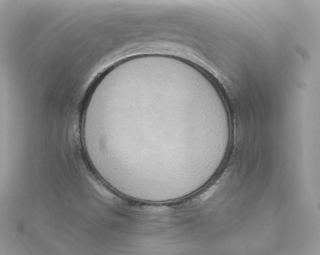 X0000115561498200911201811