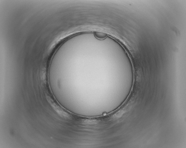 X0000115561499200911201811