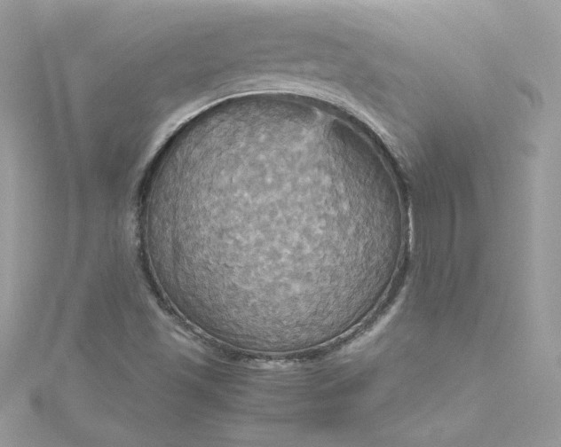 X0000115561501200911201811