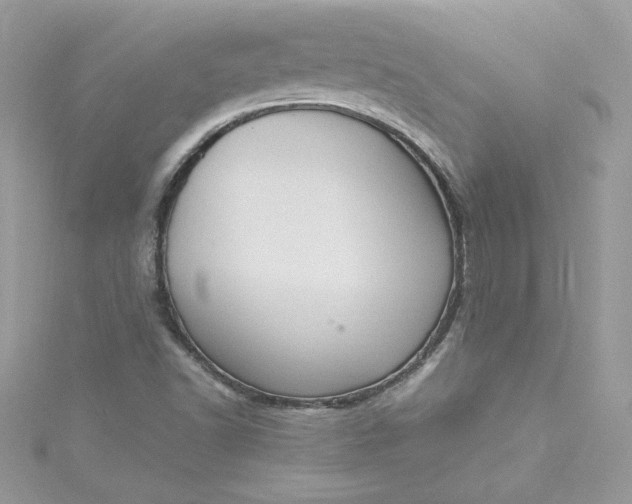 X0000115561502200911201811