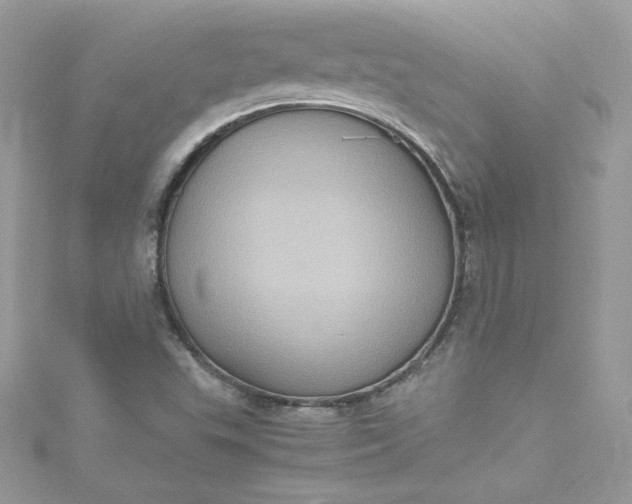 X0000115561503200911201811