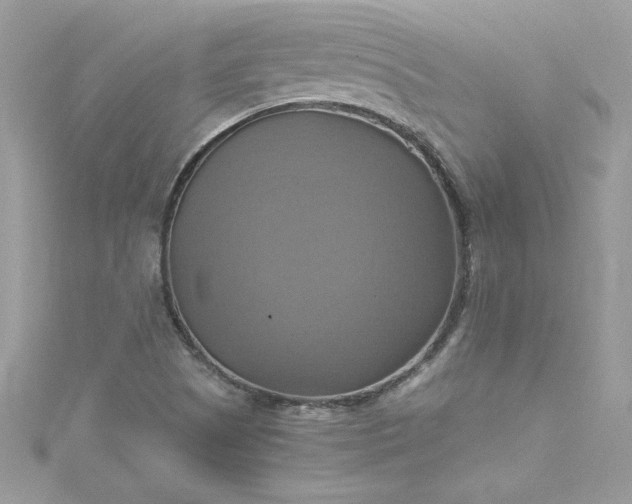 X0000115561505200911201811