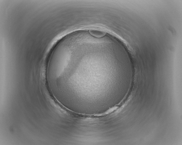 X0000115561506200911201811