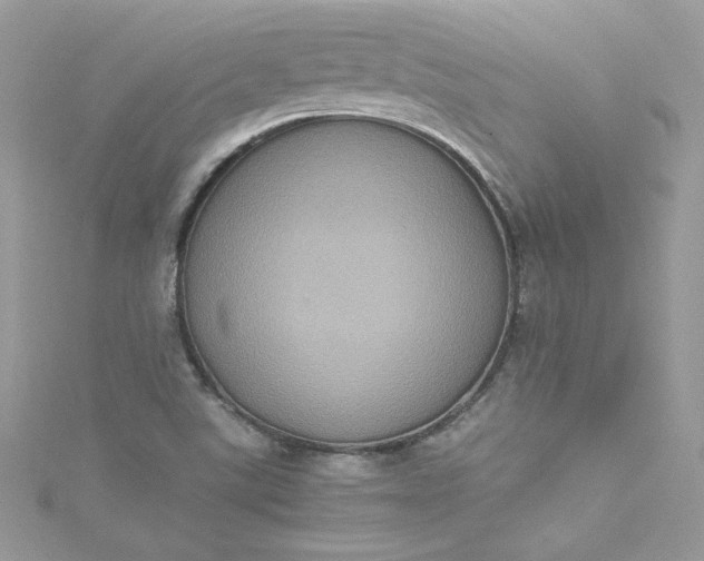 X0000115561507200911201811