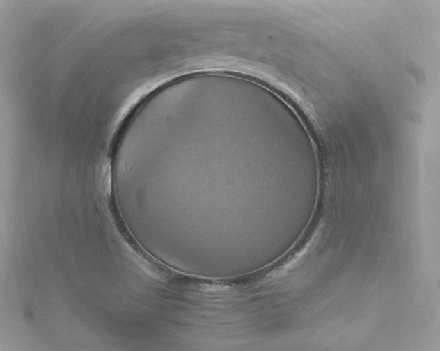 X0000115561509200911201811