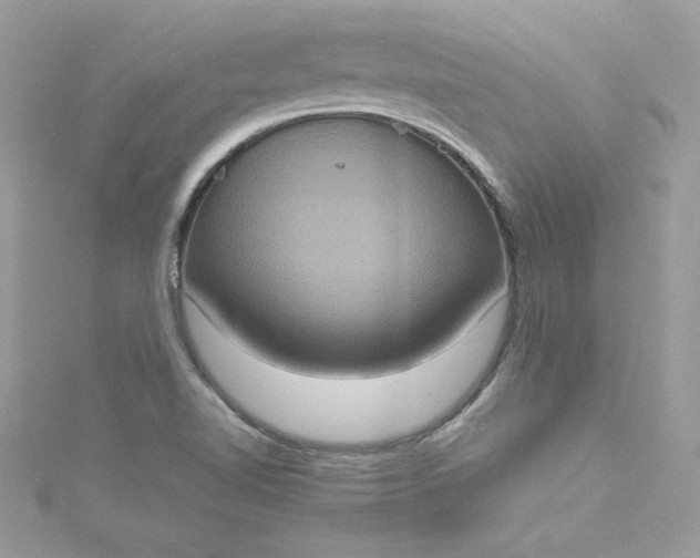 X0000115561510200911201812