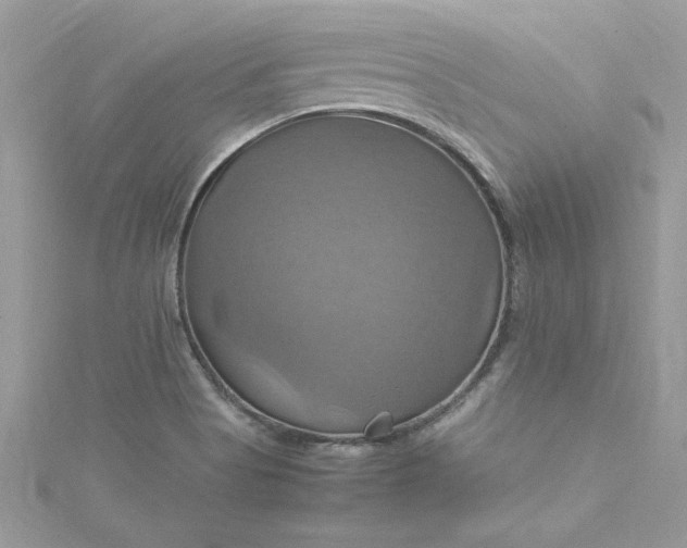 X0000115561513200911201812