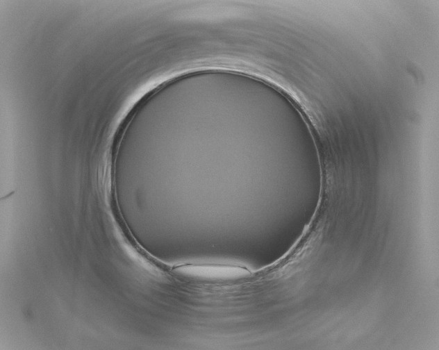 X0000115561515200911201812