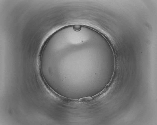 X0000115561517200911201812