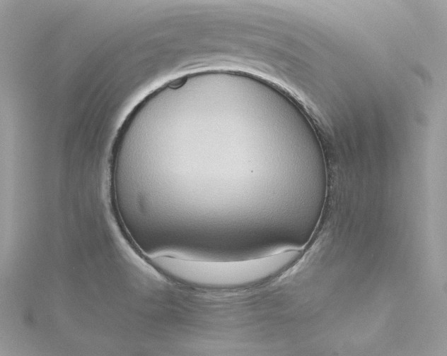 X0000115561518200911201812