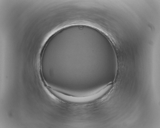 X0000115561519200911201812