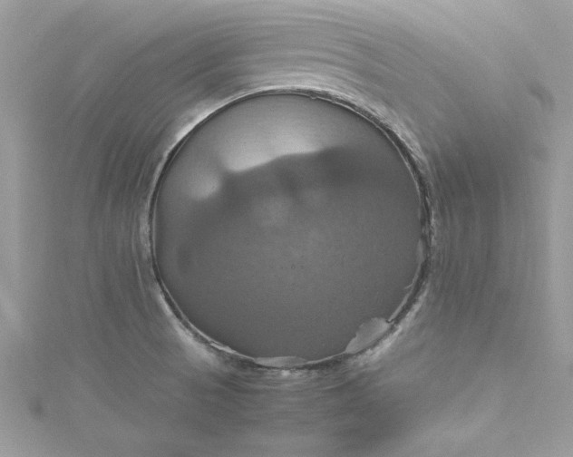 X0000115561521200911201812