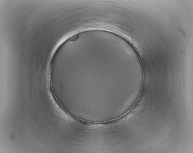 X0000115561522200911201812