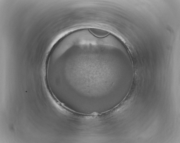 X0000115561523200911201812