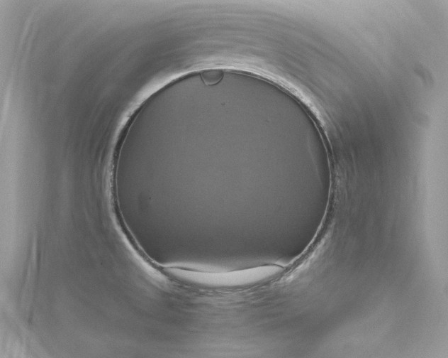 X0000115561525200911201812