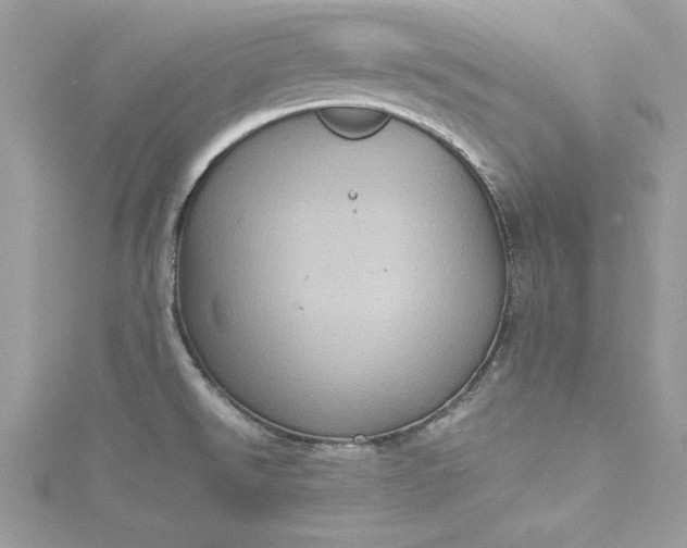 X0000115561526200911201812